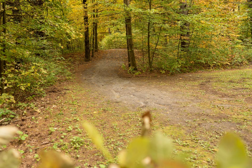 nature trail in wooded area