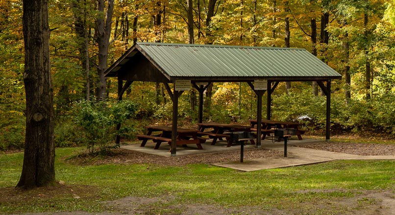 Park area with covered picnic tables and grills