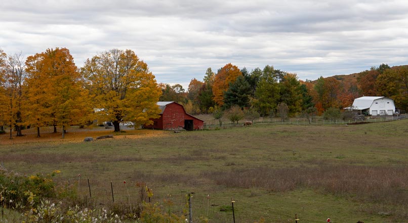 Old barn on large property with trees along edge