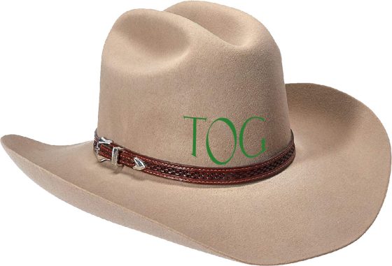 TOG Social Hour: A HOEDOWN on March 8