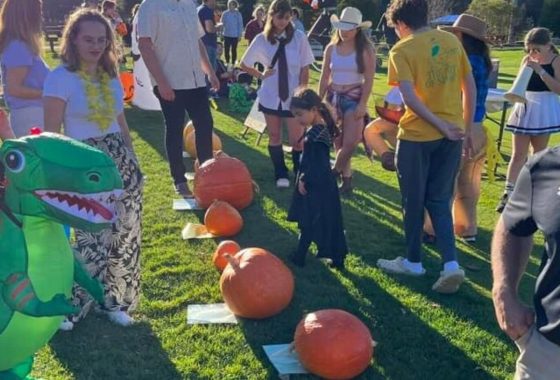 TOG Fall Festival Offers Trick or Treats, Contests and Entertainment for All Ages